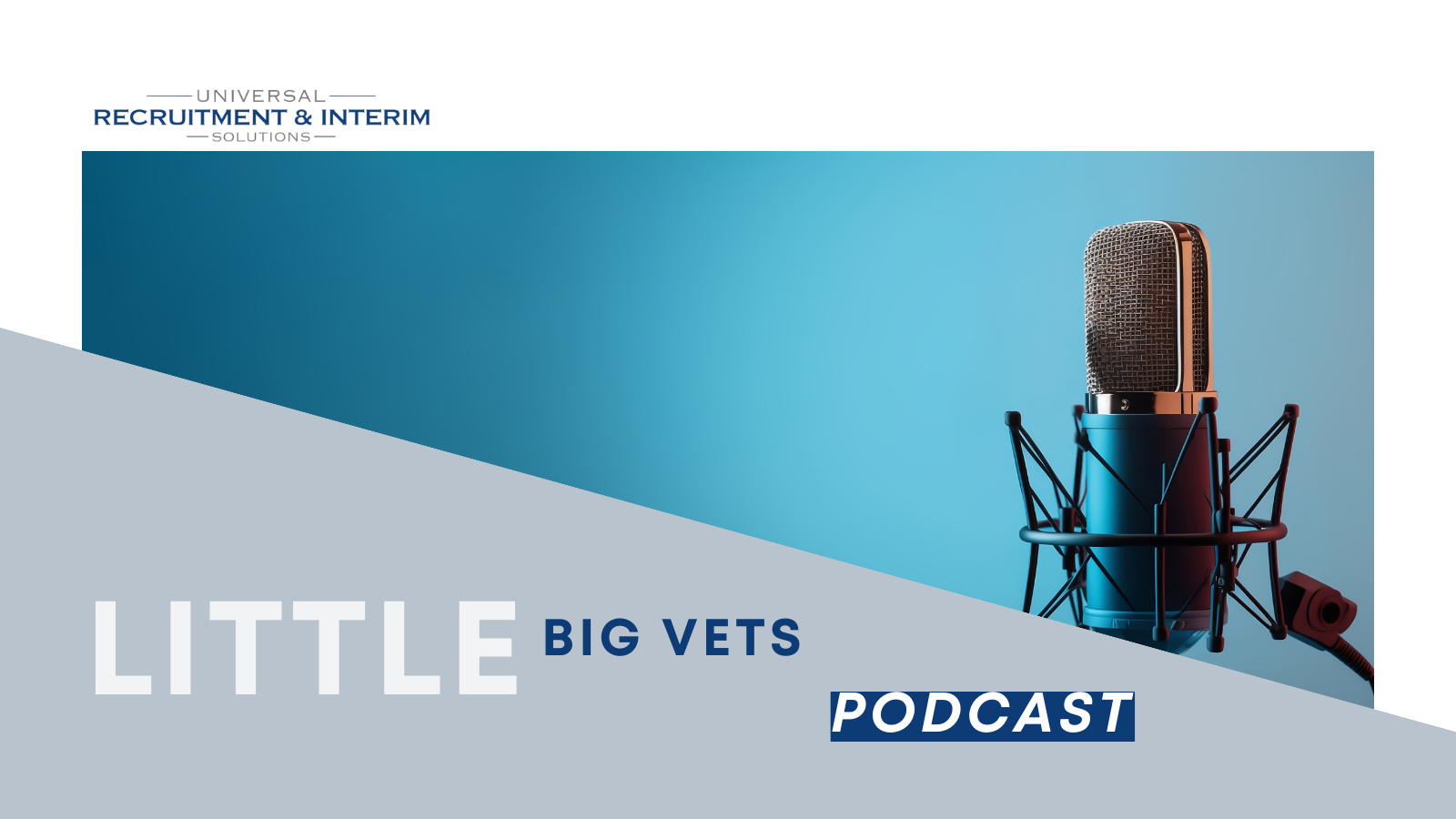 Little Big Vets Podcast